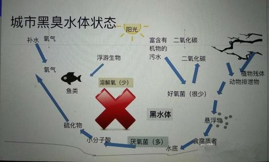 江蘇億元投資治污新技術(shù) 石墨烯能否治理黑臭水體？