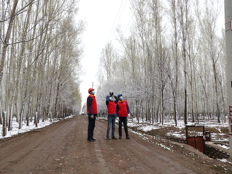 國網(wǎng)伊犁伊河供電公司四月飛雪，電力員工巡視線路保供電