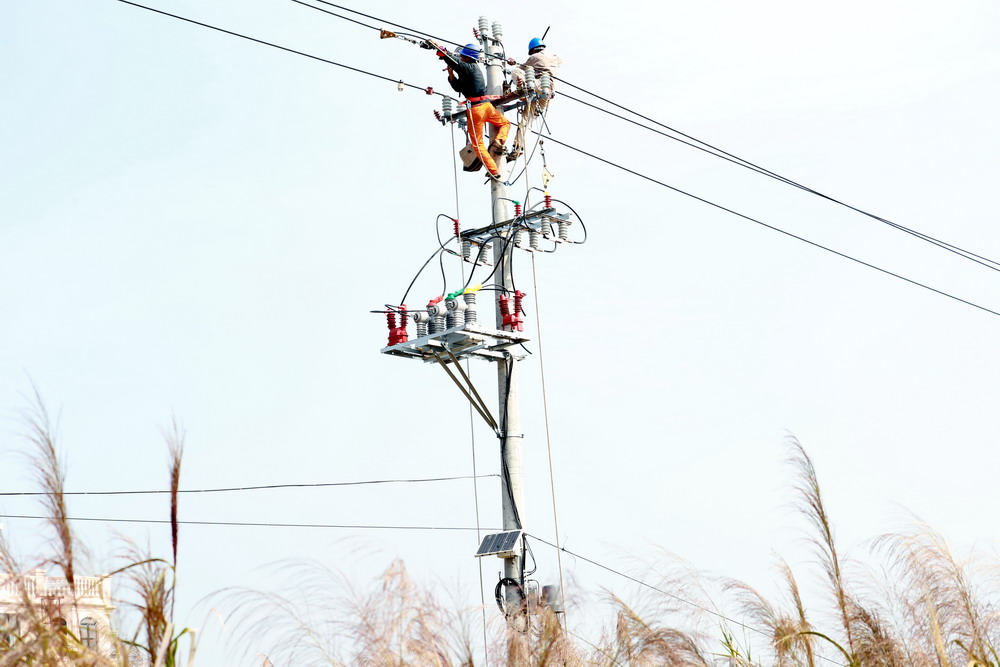 國網(wǎng)莆田供電公司升級改造線路 為鄉(xiāng)村振興“充足電”