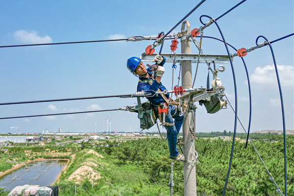 國網煙臺供電公司：電力賦能產業(yè)興 鄉(xiāng)村振興動力足