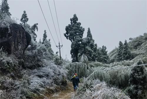 國網(wǎng)壽寧縣供電公司寒潮特巡嚴(yán)防線路覆冰