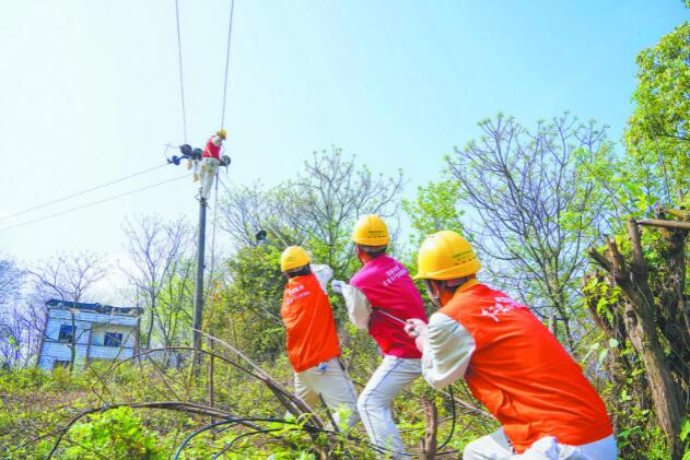 國(guó)網(wǎng)重慶電力公司報(bào)裝接電線上辦 快捷省力又省錢