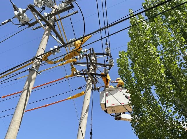 帶電作業(yè)除隱患，安全供電有保障