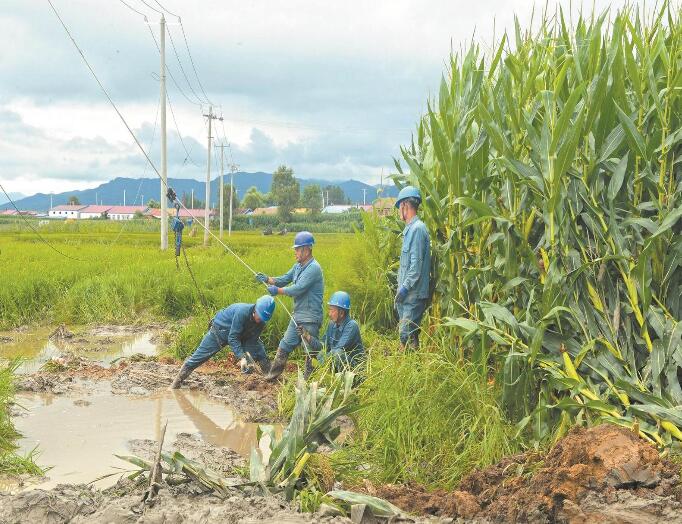 國網吉林電力公司全力應對強降雨 保障汛期電網安全