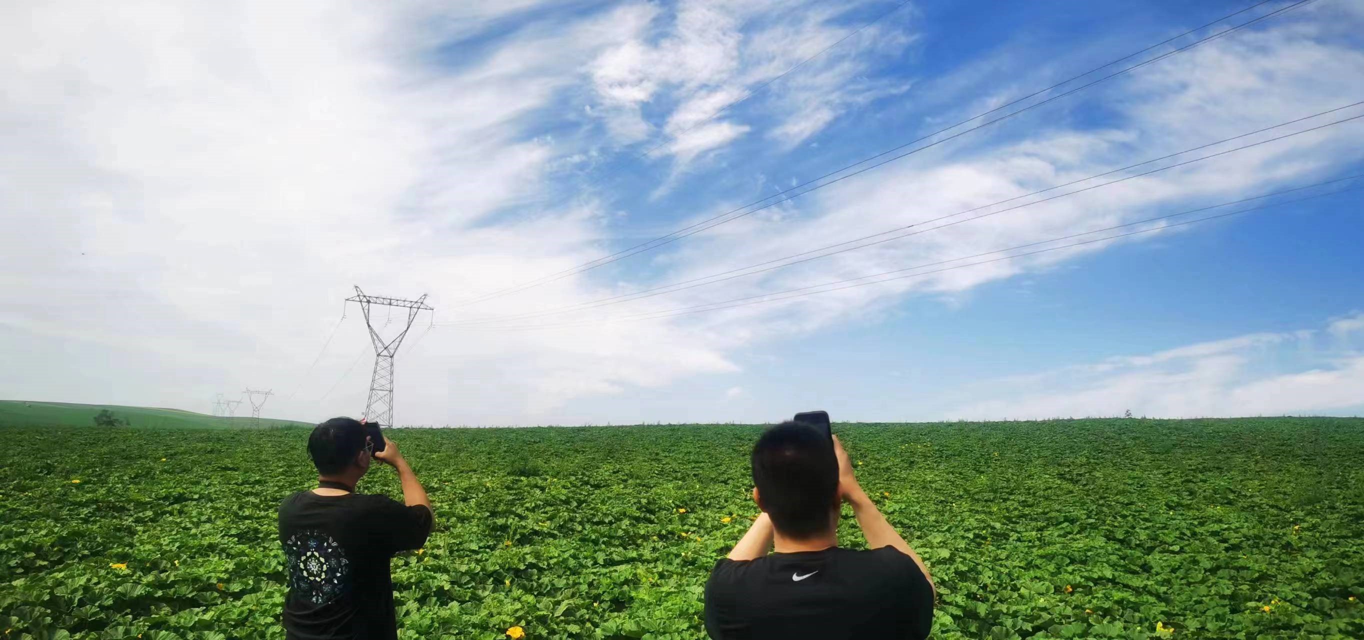 四子王輸變電管理處：防外力破壞，助安全運行