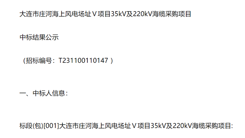 三峽能源250MW海上風電項目中標公示