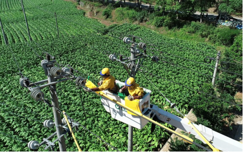 國網松溪縣供電公司“帶電+保電”升級改造電網